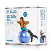Gaiam Performance BalanceBall Kit 55cm 